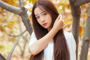 上海花千坊：Exclusive： Unveiling the __ behind the Shanghai entertainment circle, you absolutely cannot miss!